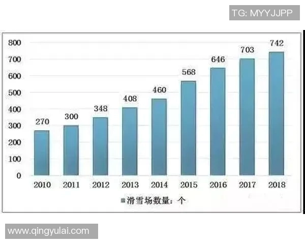滑雪赛事中失误次数的详细统计与分析报告